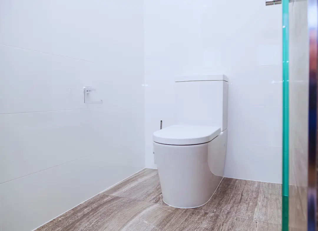 Remplacement de wc Lodève